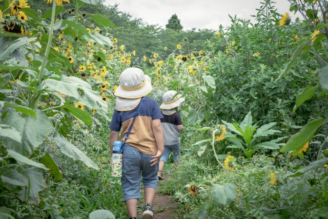 理科を好きになるってどんなこと？興味が人生を変える話